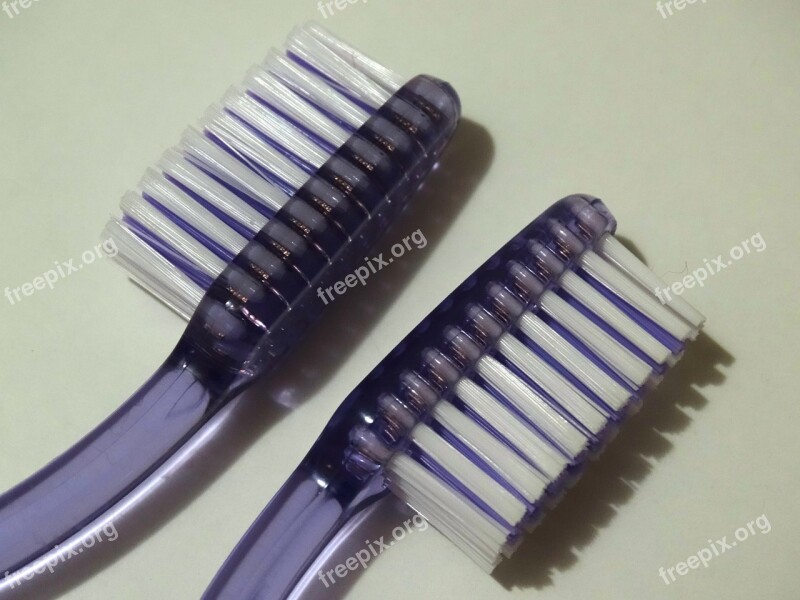 Tooth Brushes Bristles Dental Care Free Photos