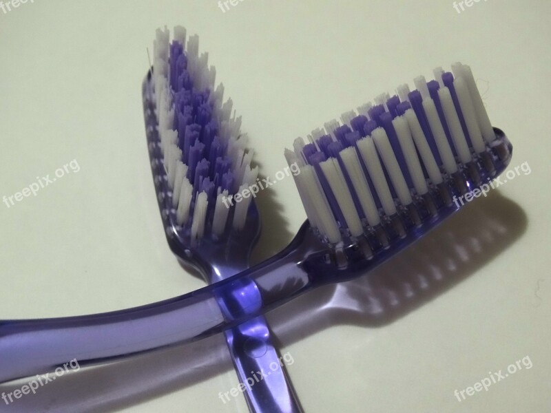 Tooth Brushes Bristles Dental Care Free Photos