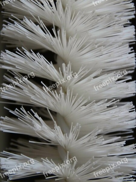 Brush Spiral Plastic Threads White Free Photos