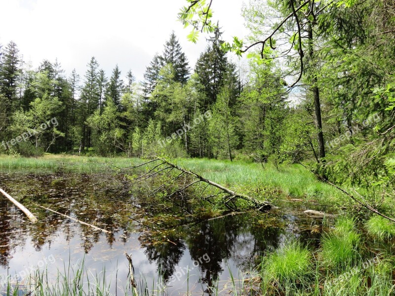 Bergsee Nature More Slowly Mountain Free Photos