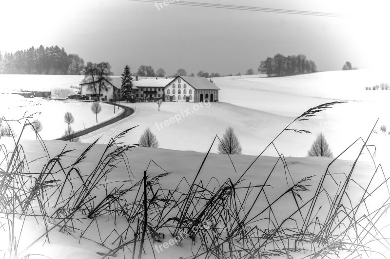 Winter Wintry Snow Snowy Landscape