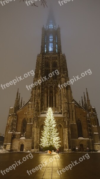 Ulm Cathedral Christmas Tree Illuminated Christmas Time Night