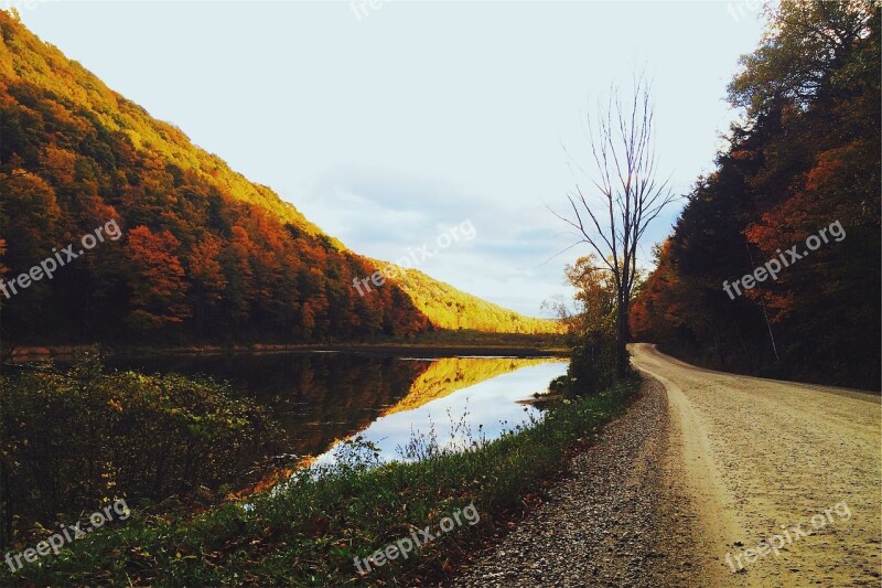 Country Lane Country Road Nature Landscape Rural