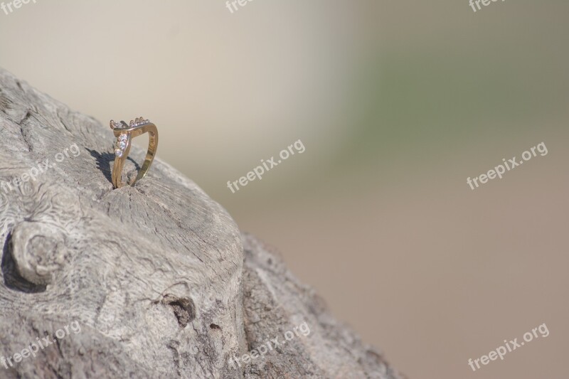 Ring Wood Wooden Old Natural