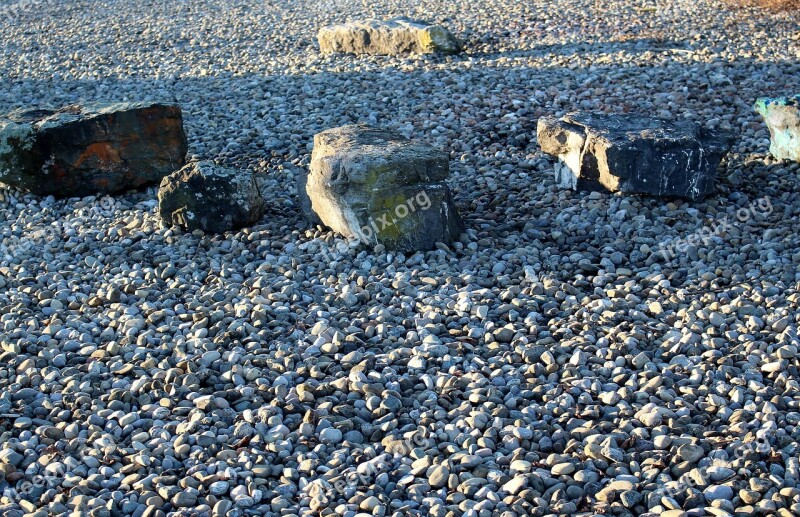 Bank Lakeside Shore Stones Lake Constance Free Photos