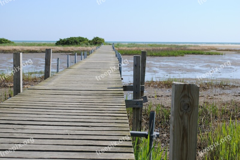 Bridge A Jetty Sea Free Photos