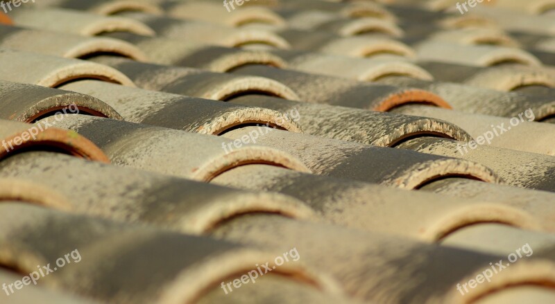 Tiles Roofing Terracotta Free Photos