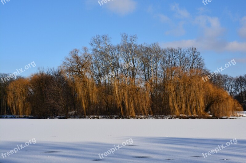 Winter Nowa Huta Island Lagoon Free Photos