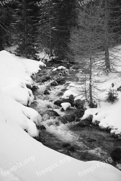 River Snow Black White Nature Flow