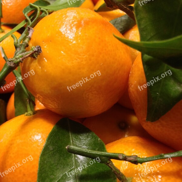 Mandarin Citrus Fruit Vitaminhaltig Delicious