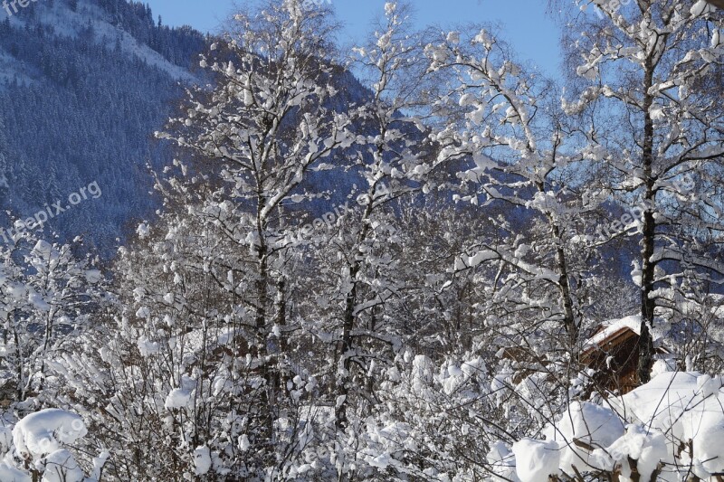 Wintry Snowy Snow Allgäu Winter