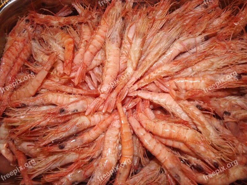 Prawns Seafood Roe Free Photos