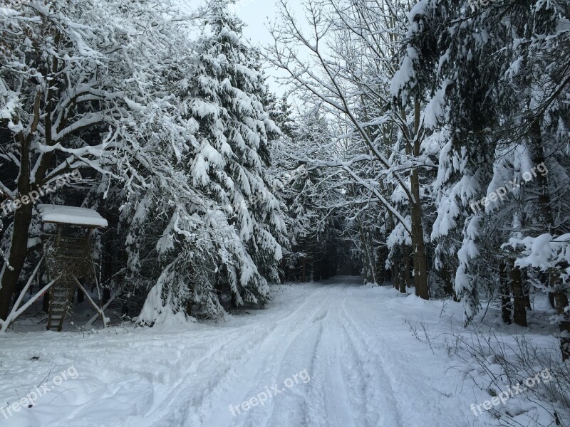 Winter Way Forest Hunter Was Forest Path Wintry