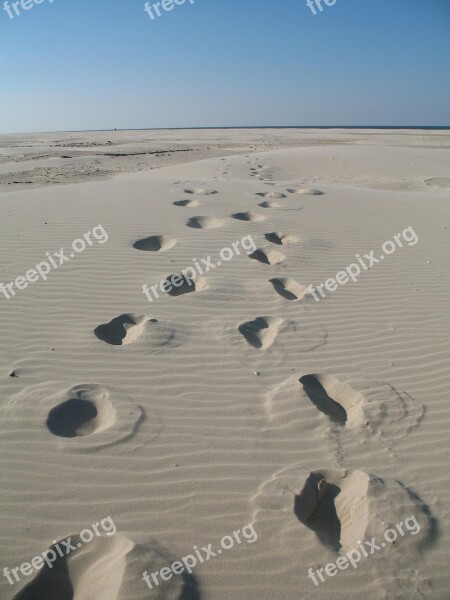 Beach Tracks In The Sand Sea Footprint Footprints