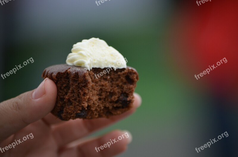 Cupcake Muffin Dessert Chocolate Cream