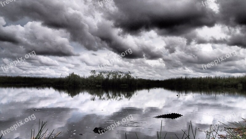 Florida Everglades Usa Free Photos