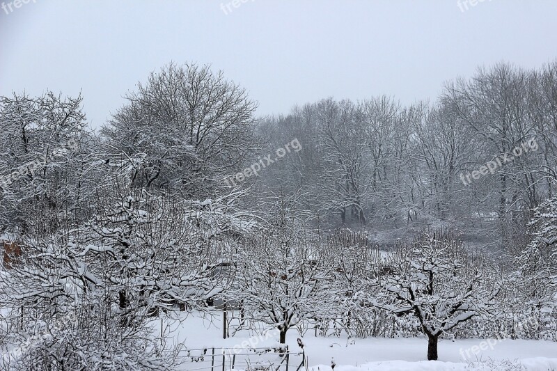 Winter Snow Wintry Cold White