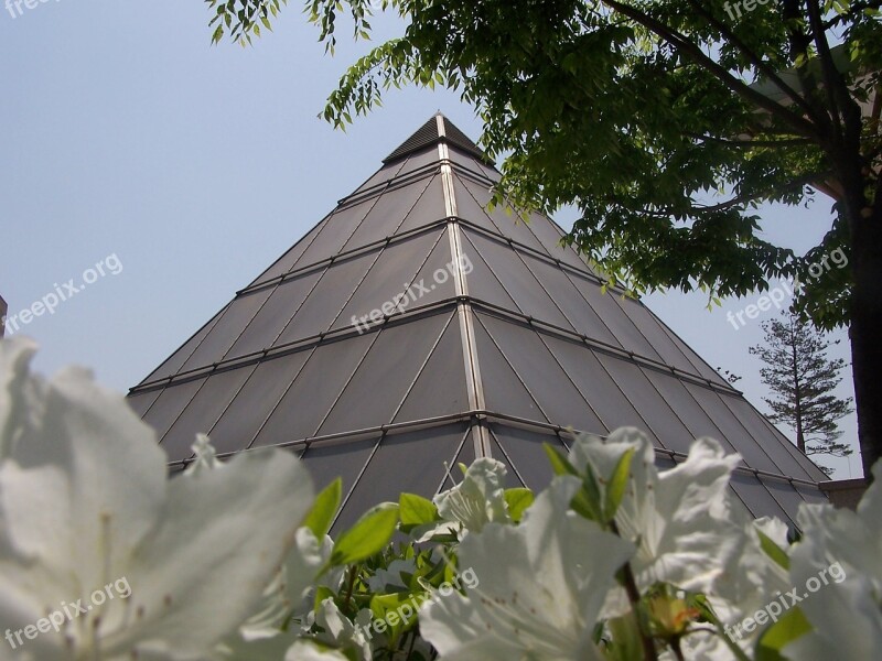 Pyramid Flowers Architecture Balance Harmony