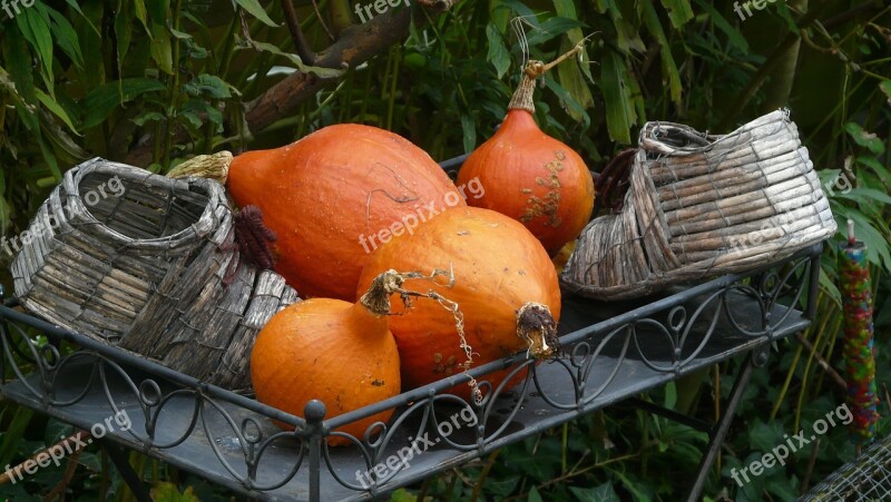 Autumn Halloween Pumpkin Free Photos