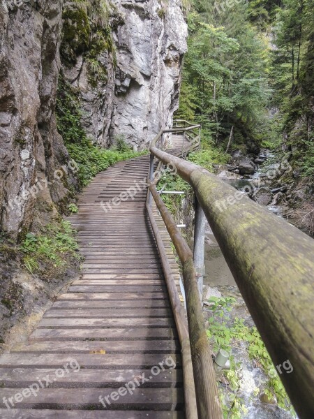 Bridge Wood Clammy Wooden Bridge Nature