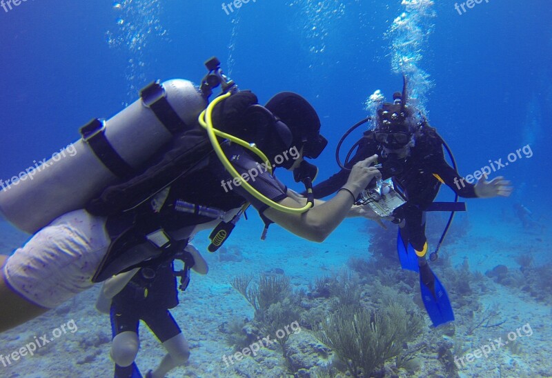 Scuba Diving Bottles Bubbles Fins Free Photos