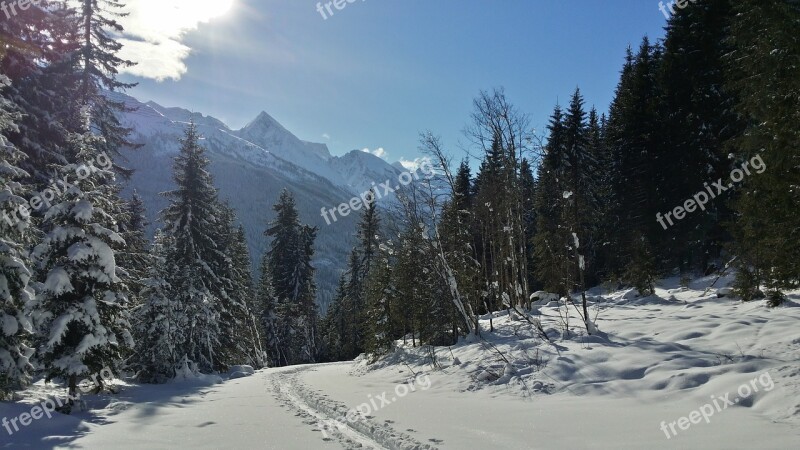 Backcountry Skiiing Trace Skiing Winter Sports Snow