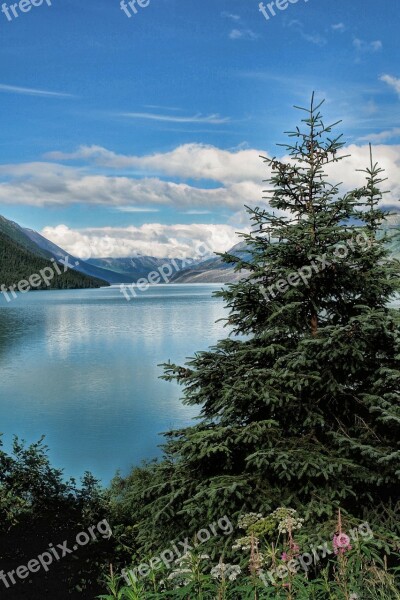 Alaska Landscape Seward Alaska Wilderness River