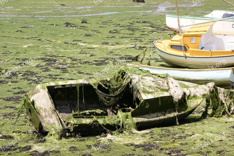 Boat Wreck Algae Sad Free Photos