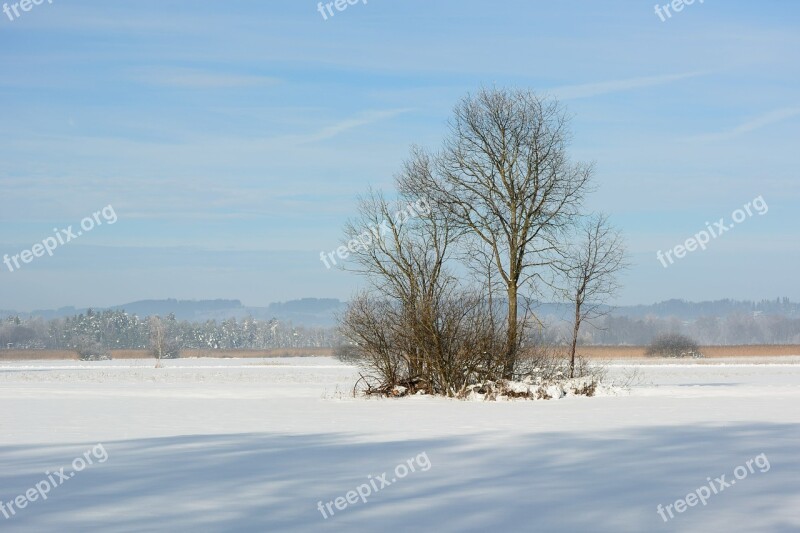 Landscape Winter Snow Wintry White