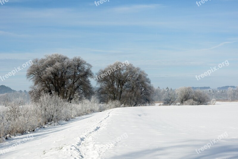 Landscape Winter Snow Wintry White