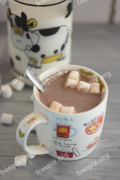 Cocoa Marshmallows Drinks Hot Chocolate