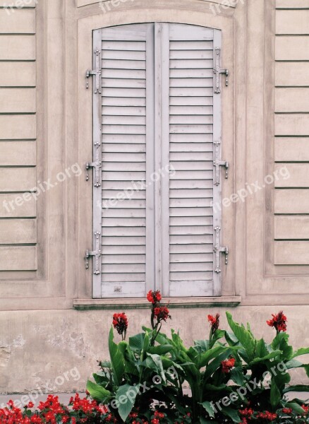 Building Window Old Shutter Flowers