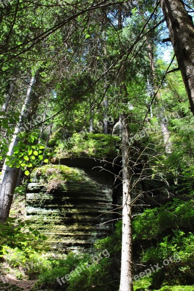 Forest Rocks Mountains Landscape Nature