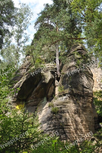 Mountains Forest Landscape Tree View