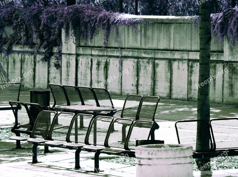 Vienna Danube Island Park Bench Sit Seat