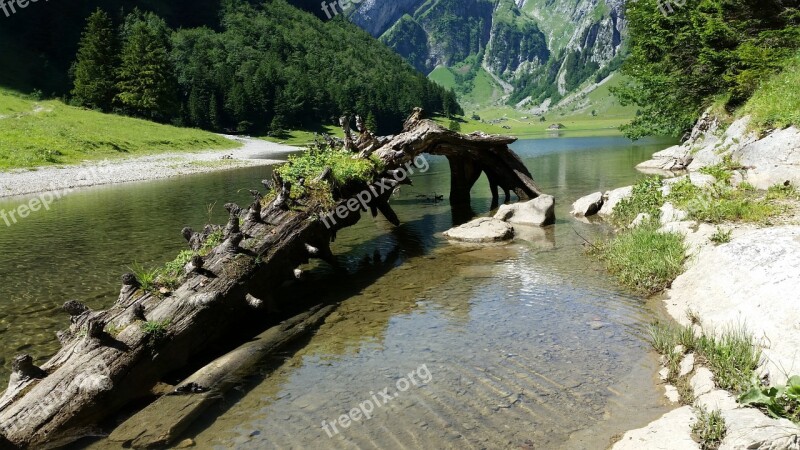 Seealpsee Root Switzerland Lake Nature