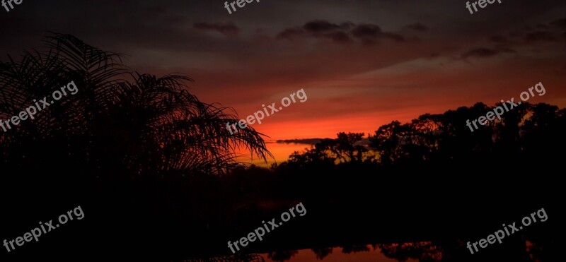 Sunset Florida Palm Trees Colorful Night