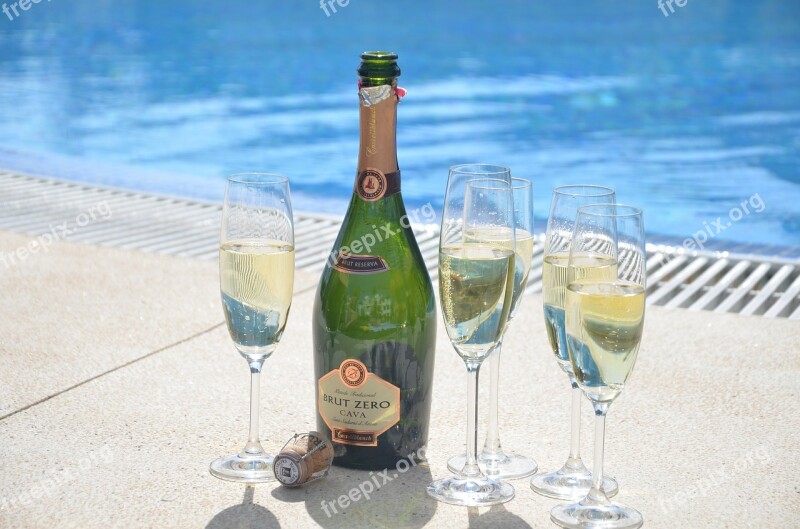 Congratulations Champagne Holiday Toast Cava