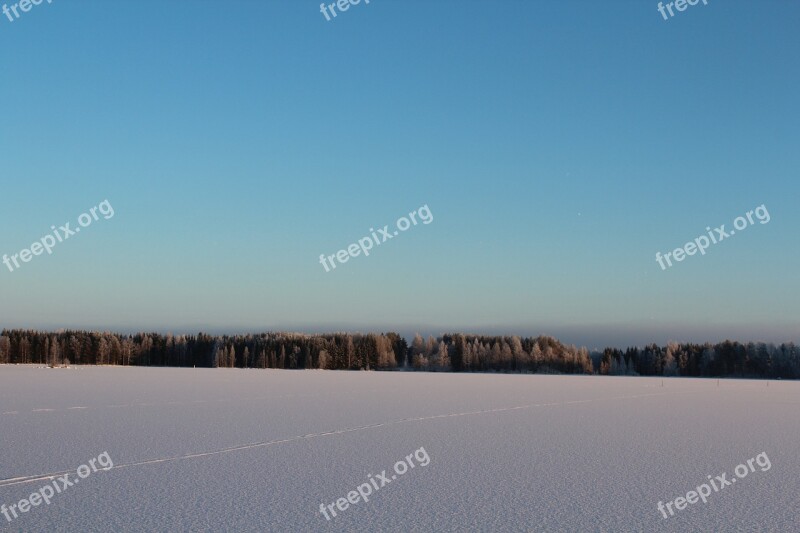 The Skyline Winter Landscape Frosty Forest Free Photos