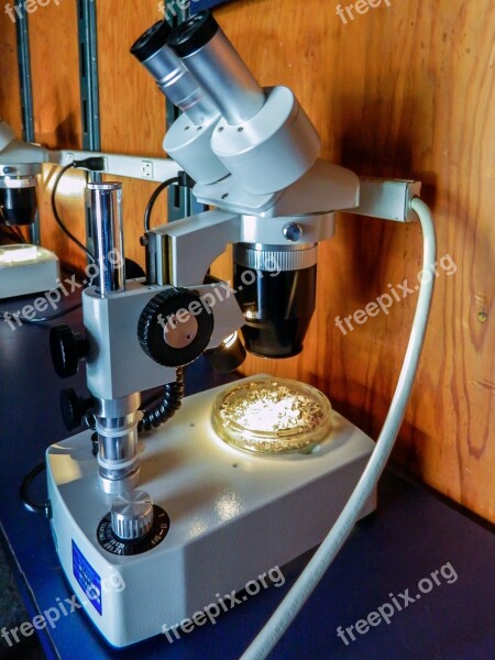 Microscope Lab Science Research Laboratory