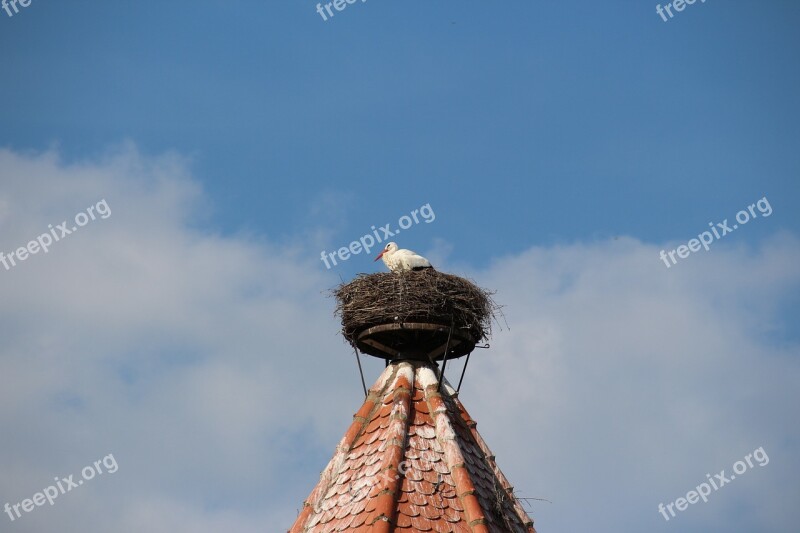 Stork Nest Storchennest Breed Rattle Stork