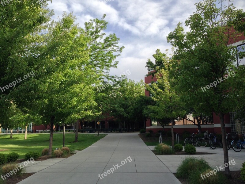 University Trees Sky Free Photos