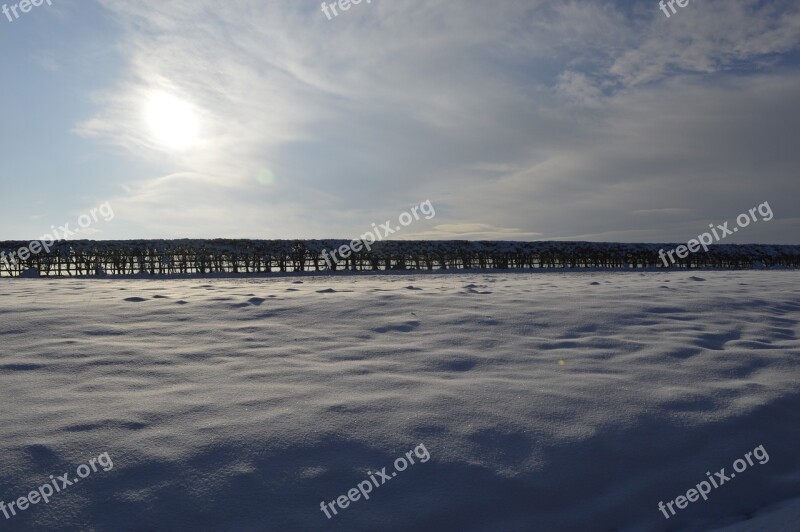 Snow Landscape Sun Season Christmas