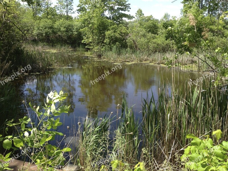 Lake Clean Syracuse Free Photos