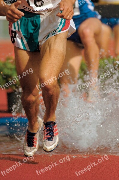 Runners Legs Competition Race Feet Water