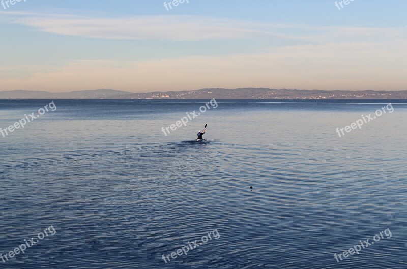 Sport Canoeing Canoeist Paddler Lake