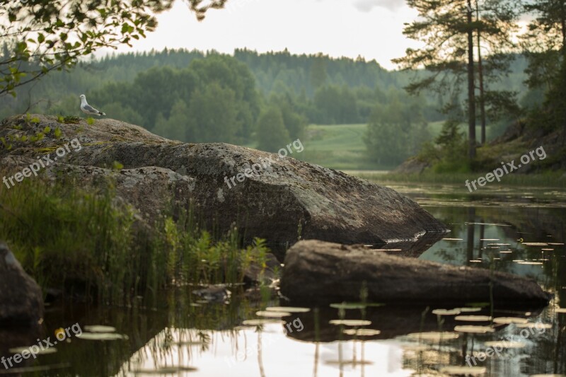 Lake Beach Water Finnish Summer