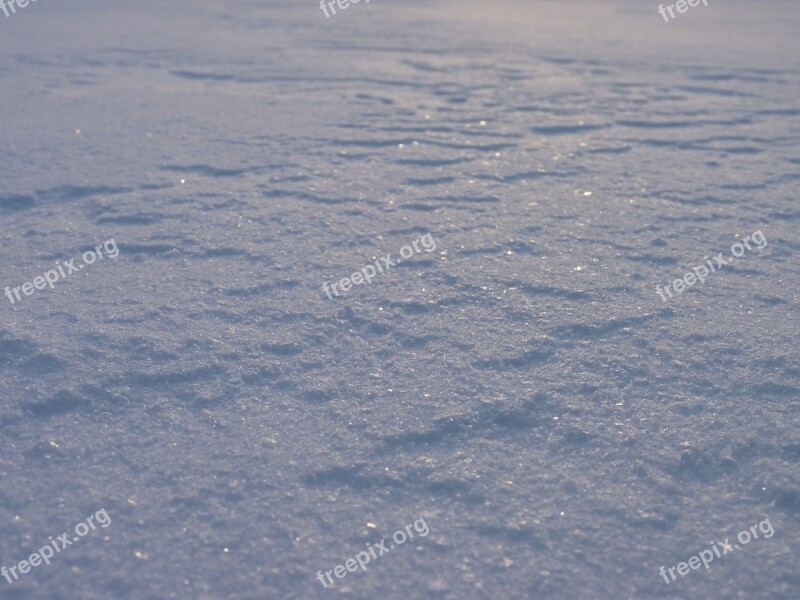 Snow Cover Snow Sparkle Winter Drifts