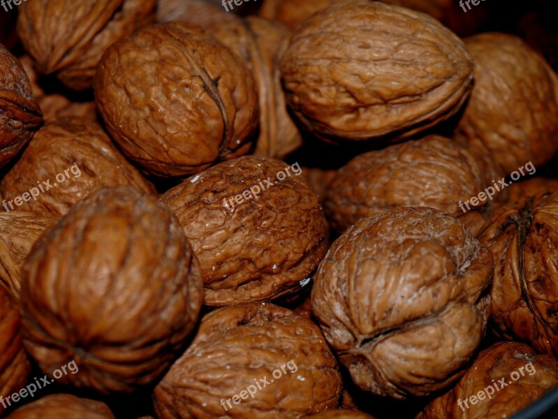 Walnut Brown Nuts Food Eat