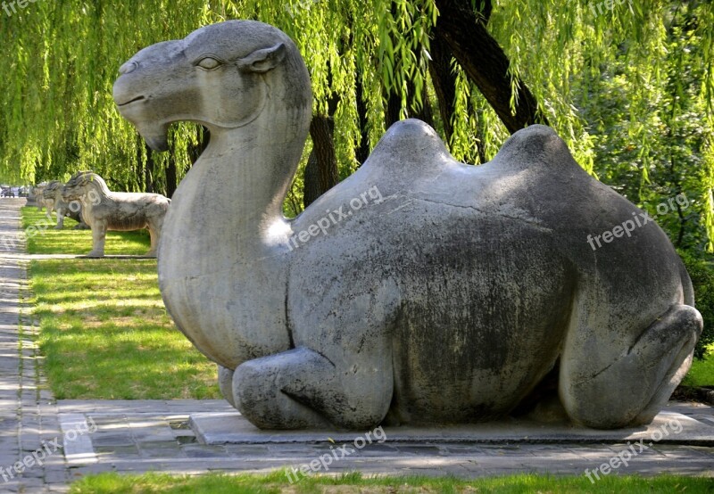 Camel China Green Marble Statue